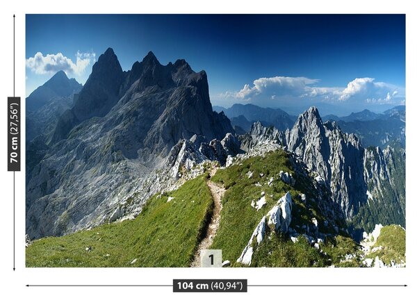 Carta da parati Alpi Slovenia 104x70 cm