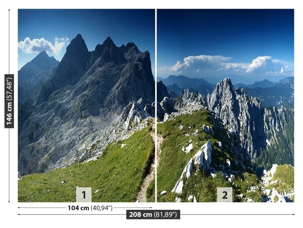 Carta da parati Alpi Slovenia 104x70 cm