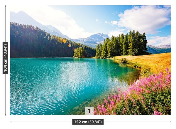 Carta da parati Alpi svizzere 104x70 cm