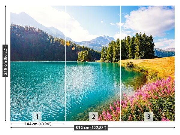 Carta da parati Alpi svizzere 104x70 cm