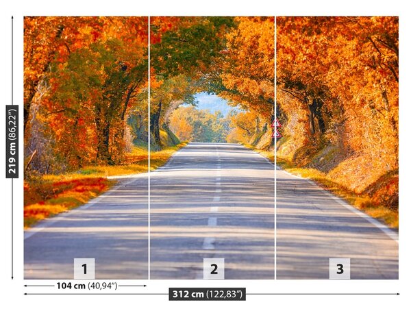 Carta da parati Strada in autunno 104x70 cm