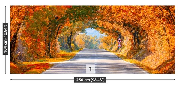 Carta da parati Strada in autunno 104x70 cm
