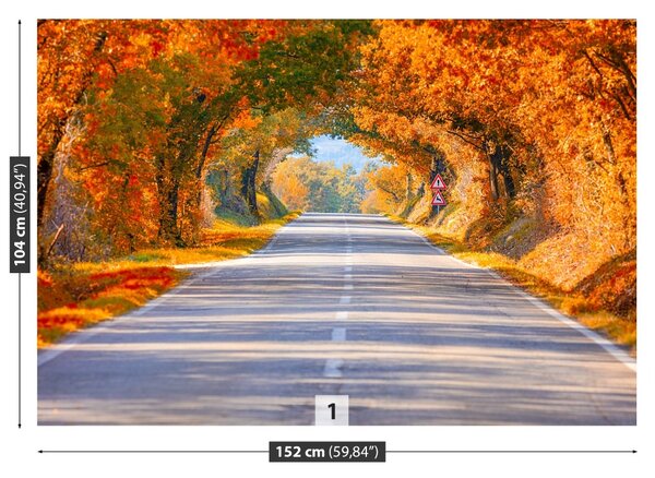 Carta da parati Strada in autunno 104x70 cm