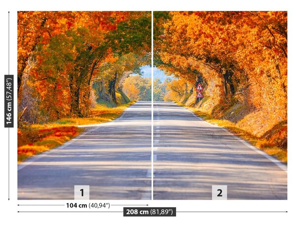 Carta da parati Strada in autunno 104x70 cm