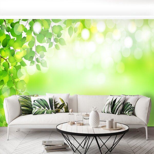 Carta da parati Foglie verdi 104x70 cm