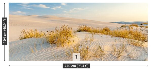 Carta da parati Dune Balk 104x70 cm