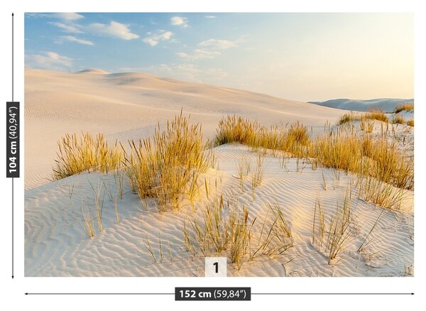 Carta da parati Dune Balk 104x70 cm