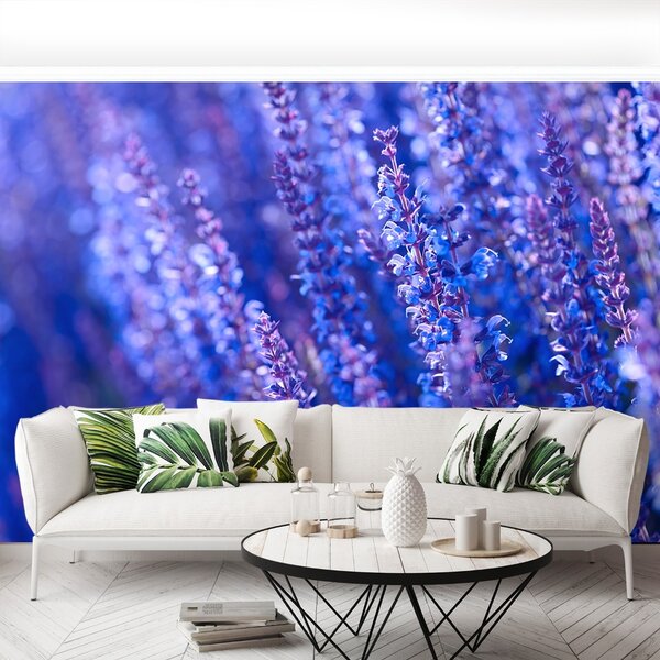 Carta da parati Fiori di lavanda 104x70 cm