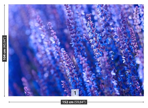 Carta da parati Fiori di lavanda 104x70 cm