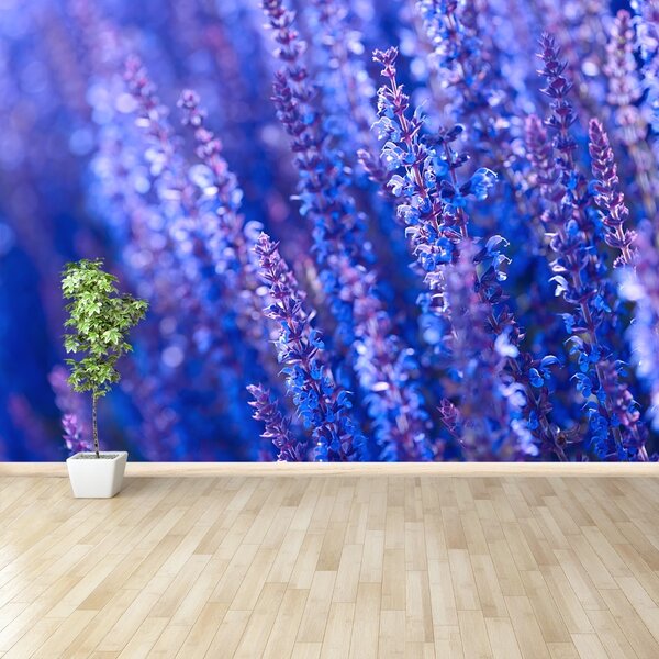 Carta da parati Fiori di lavanda 104x70 cm