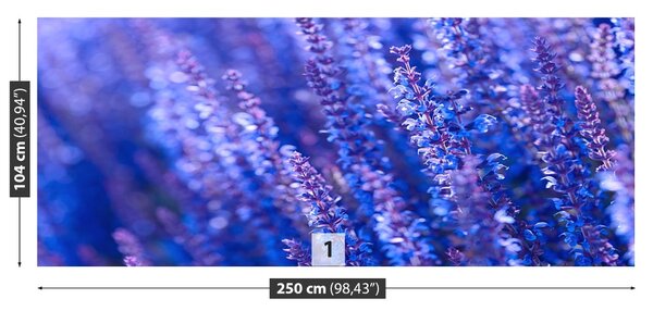 Carta da parati Fiori di lavanda 104x70 cm