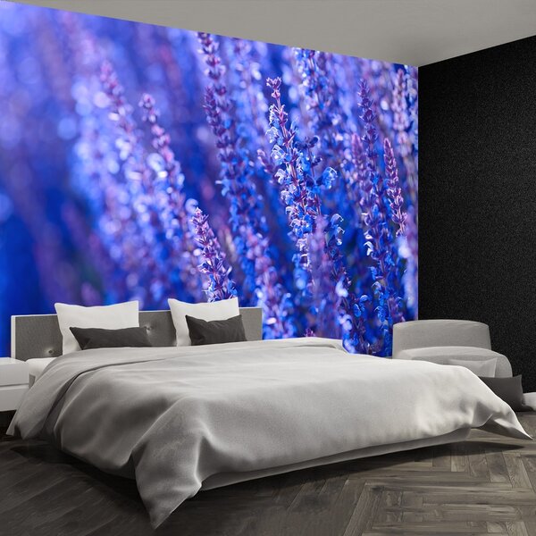 Carta da parati Fiori di lavanda 104x70 cm