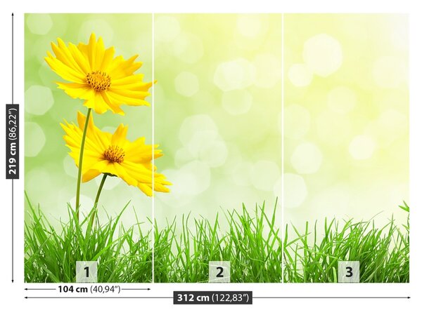Carta da parati Fiori gialli 104x70 cm