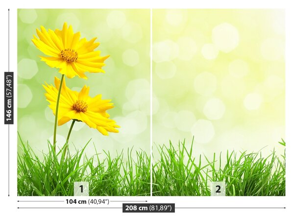 Carta da parati Fiori gialli 104x70 cm