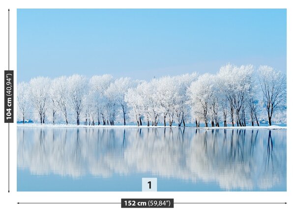 Carta da parati Inverno 104x70 cm
