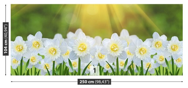 Carta da parati Narcissus White 104x70 cm