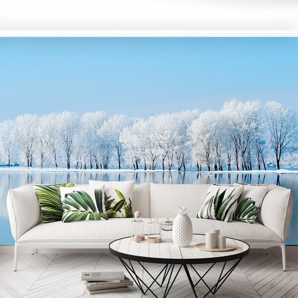 Carta da parati Inverno 104x70 cm