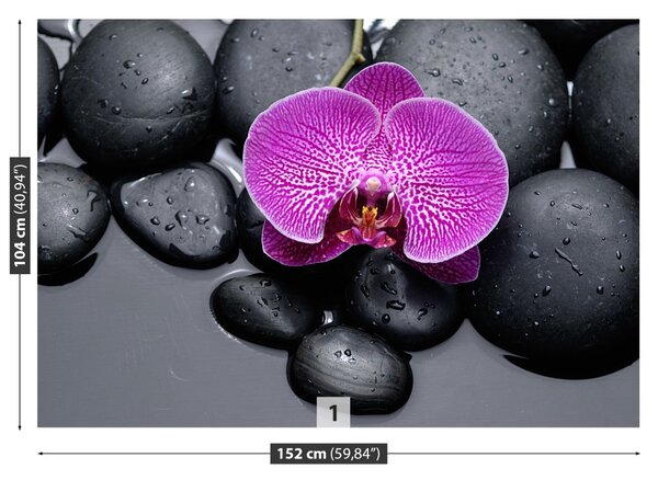 Carta da parati Pietre di orchidee 104x70 cm