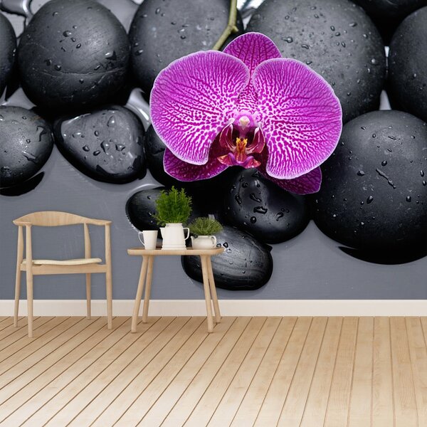 Carta da parati Pietre di orchidee 104x70 cm