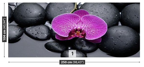 Carta da parati Pietre di orchidee 104x70 cm