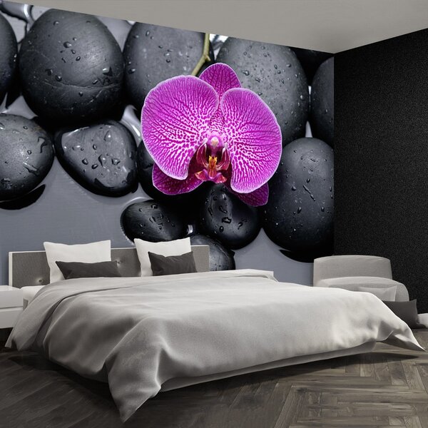 Carta da parati Pietre di orchidee 104x70 cm