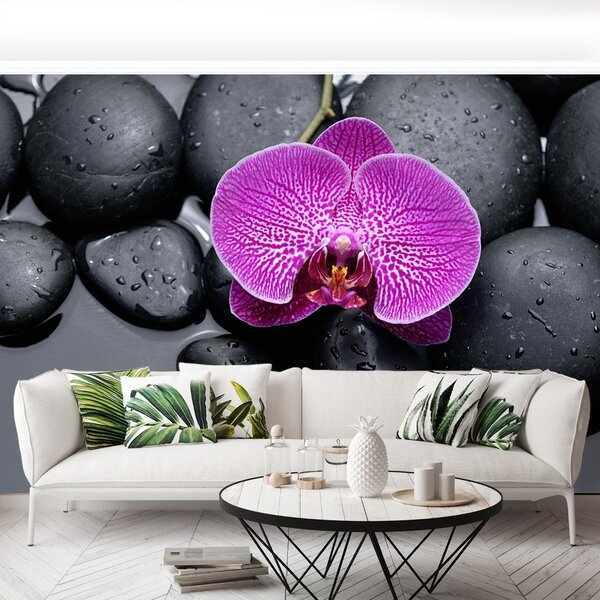Carta da parati Pietre di orchidee 104x70 cm
