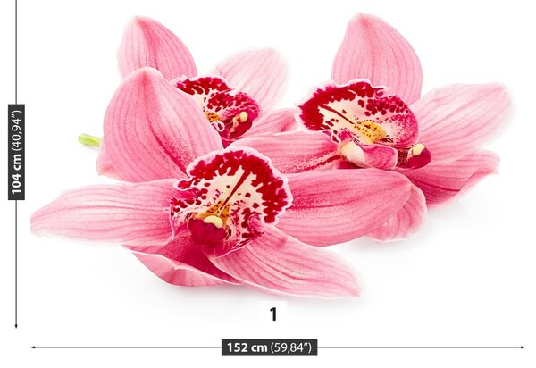 Carta da parati Orchidea rosa 104x70 cm