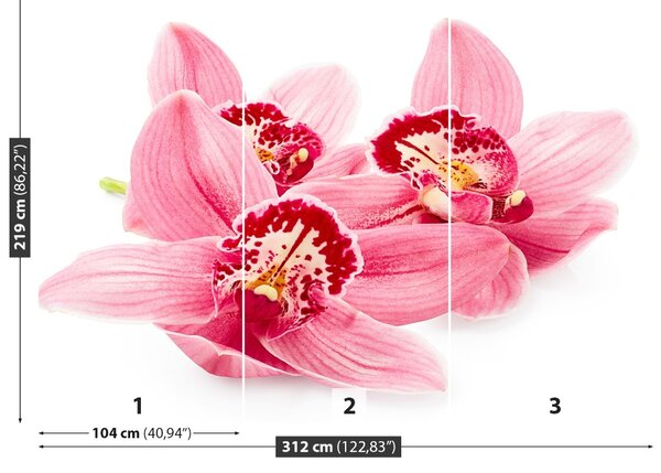 Carta da parati Orchidea rosa 104x70 cm