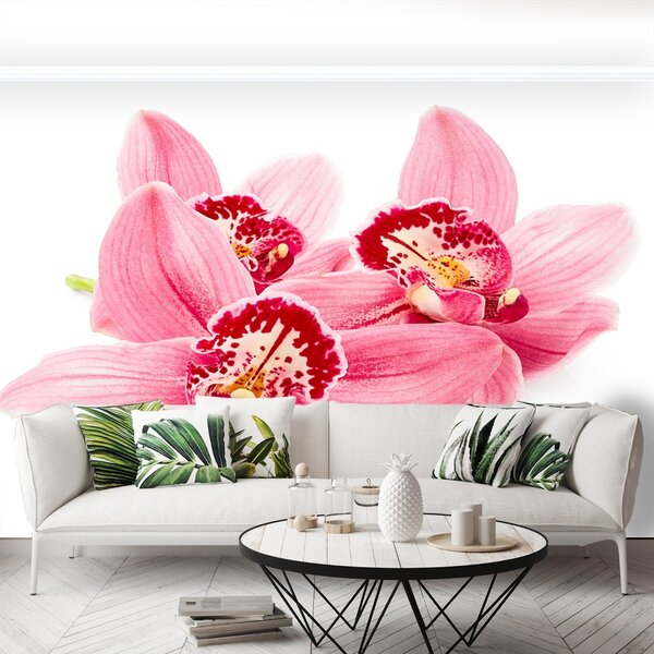 Carta da parati Orchidea rosa 104x70 cm