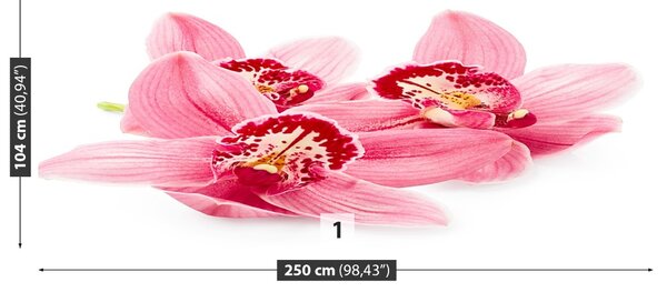 Carta da parati Orchidea rosa 104x70 cm