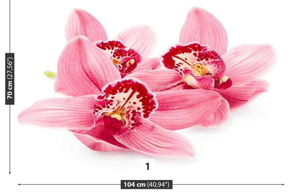 Carta da parati Orchidea rosa 104x70 cm