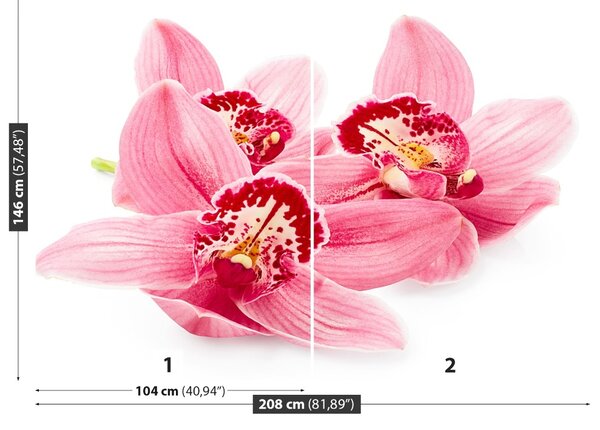 Carta da parati Orchidea rosa 104x70 cm