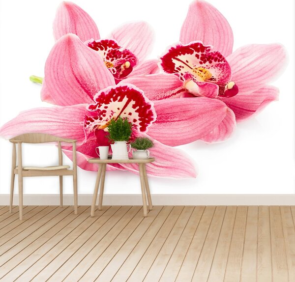 Carta da parati Orchidea rosa 104x70 cm