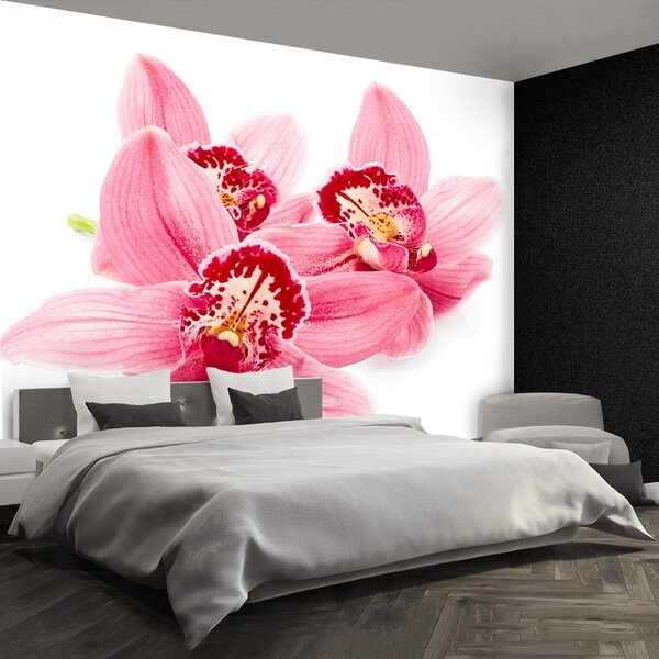 Carta da parati Orchidea rosa 104x70 cm