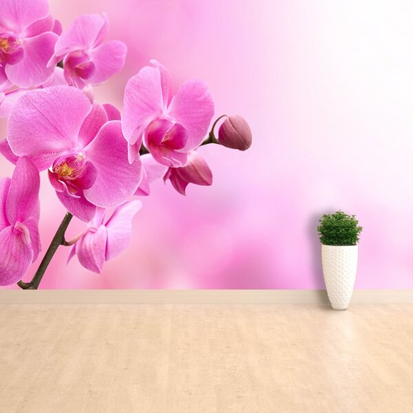 Carta da parati Orchidea rosa 104x70 cm