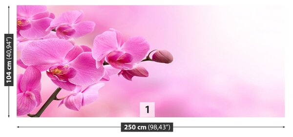 Carta da parati Orchidea rosa 104x70 cm