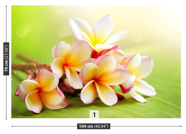 Carta da parati Fiori frangipani 104x70 cm