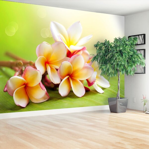 Carta da parati Fiori frangipani 104x70 cm