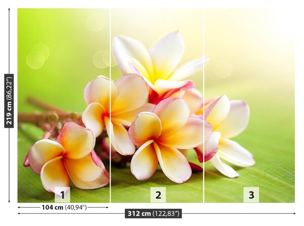 Carta da parati Fiori frangipani 104x70 cm