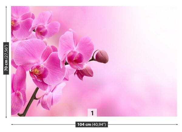 Carta da parati Orchidea rosa 104x70 cm