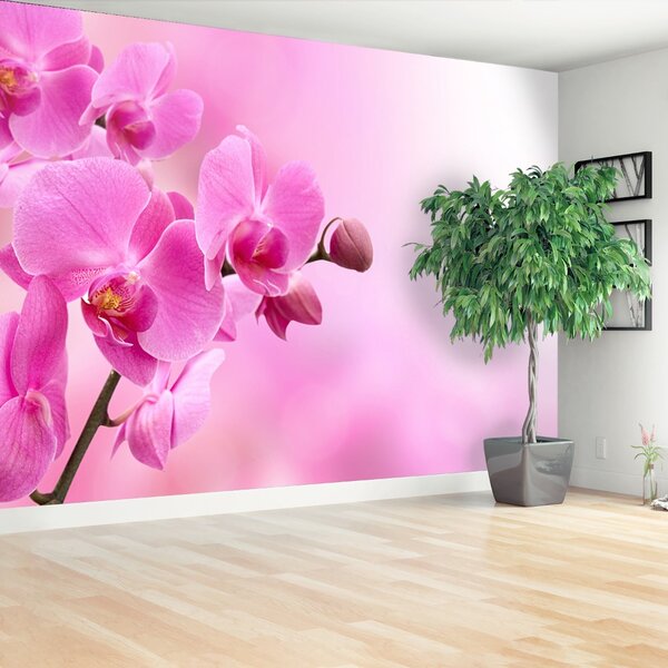 Carta da parati Orchidea rosa 104x70 cm