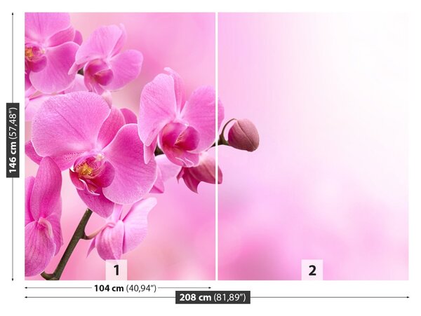 Carta da parati Orchidea rosa 104x70 cm