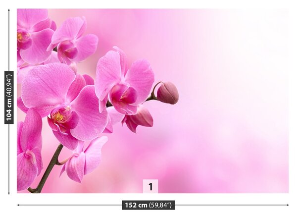 Carta da parati Orchidea rosa 104x70 cm