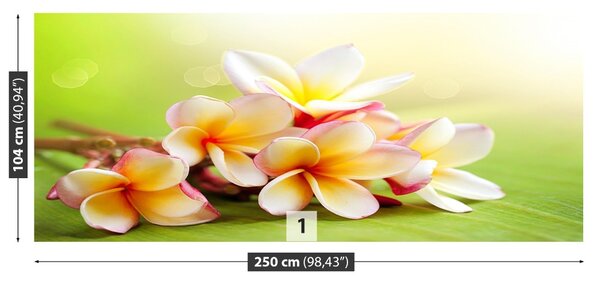 Carta da parati Fiori frangipani 104x70 cm
