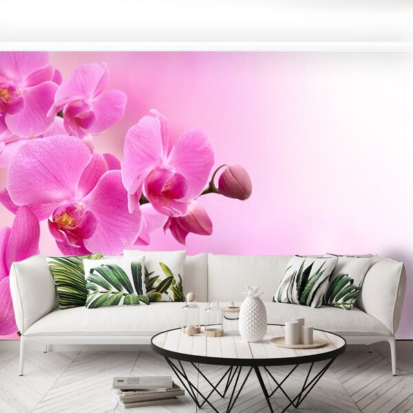 Carta da parati Orchidea rosa 104x70 cm