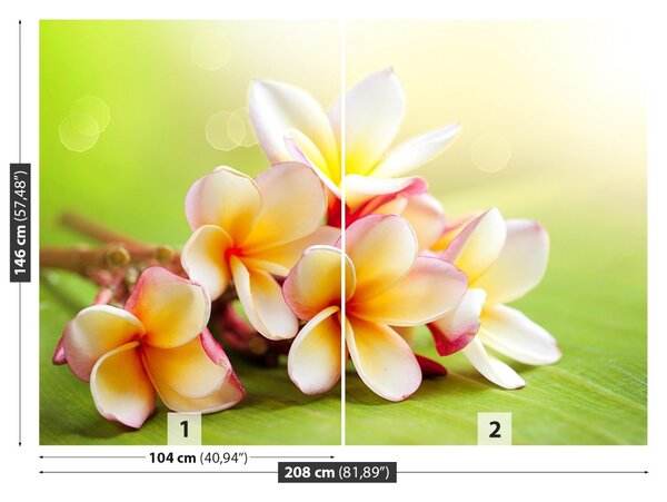 Carta da parati Fiori frangipani 104x70 cm