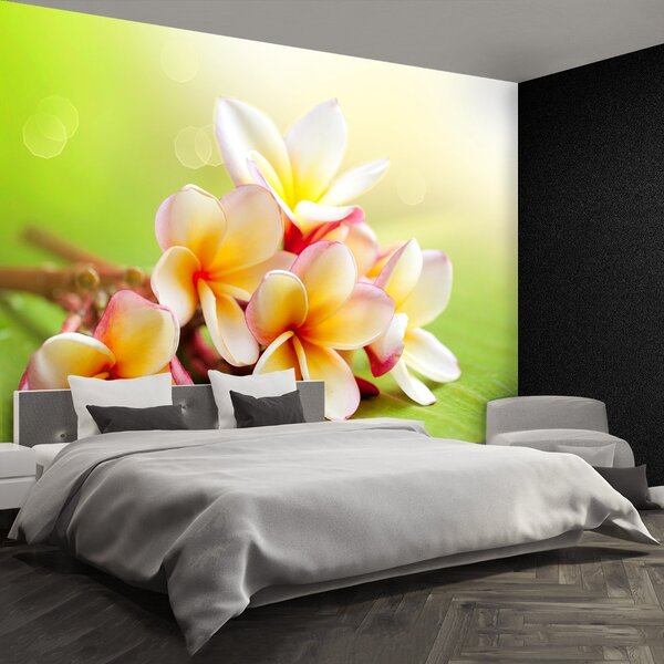 Carta da parati Fiori frangipani 104x70 cm