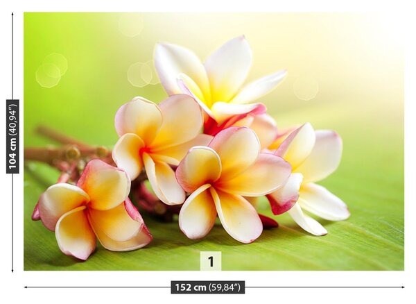 Carta da parati Fiori frangipani 104x70 cm