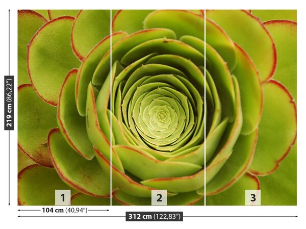 Carta da parati Fiore verde 104x70 cm