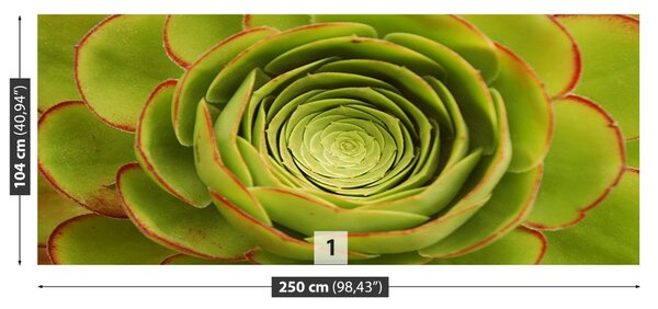 Carta da parati Fiore verde 104x70 cm